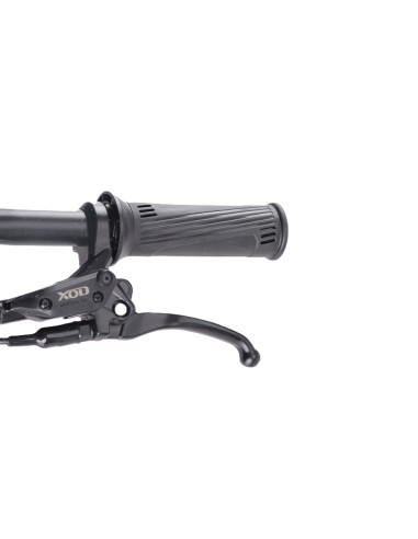 Draisienne électrique 20 pouces RS...