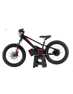 Draisienne électrique 20... 2