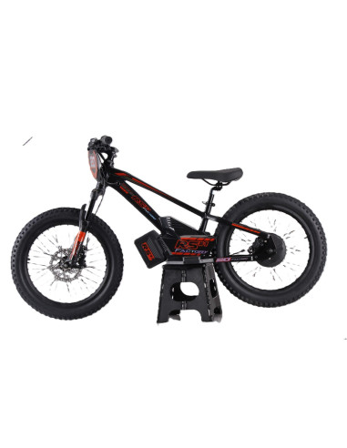 Draisienne électrique 20 pouces RS...