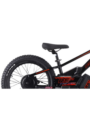 Draisienne électrique 20 pouces RS...