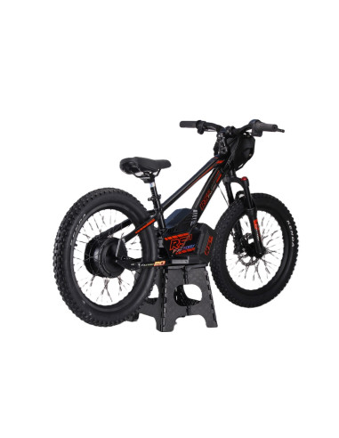 Draisienne électrique 20 pouces RS...