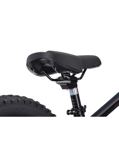 Draisienne électrique 20 pouces RS...