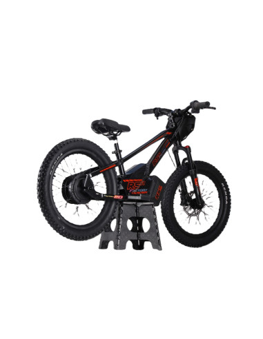 Draisienne électrique 20 pouces RS...