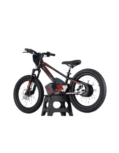 Draisienne électrique 20 pouces RS...