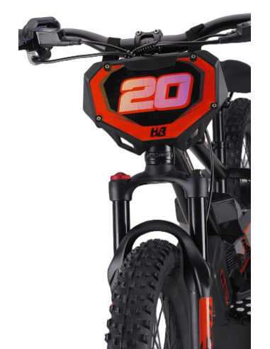 Draisienne électrique 20 pouces RS...