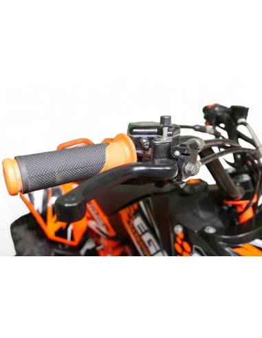 Quad enfant EGL Madix Spectre 125...