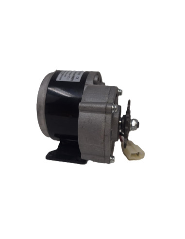 Moteur électrique 24v 200w pour...