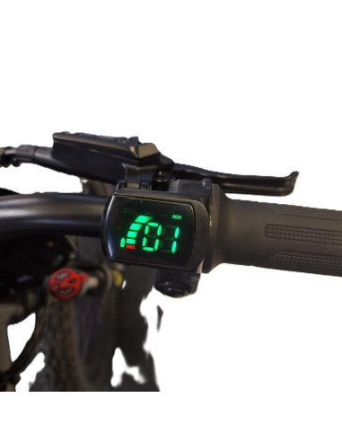 Draisienne électrique 20 pouces RS...