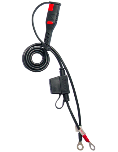 Chargeur  batterie intelligent BS...