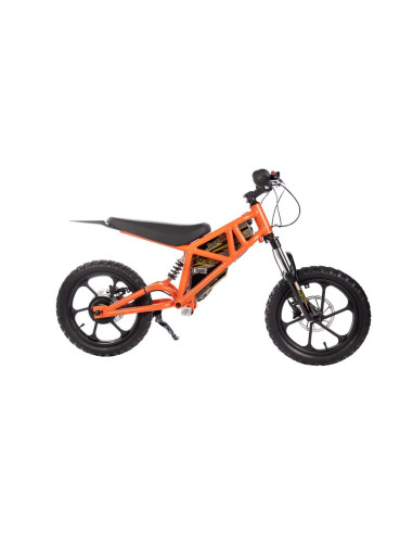 Draisienne Buz E-500 RS Factory...