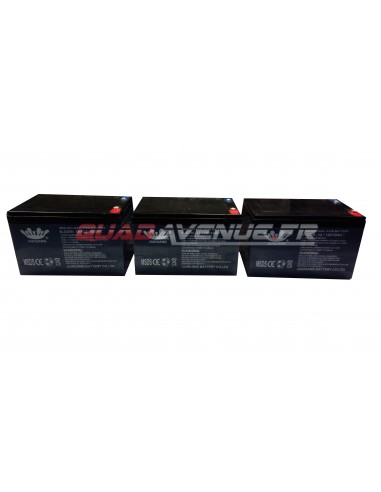 Pack 3 batteries 6-DZM-12 12V12AH de...