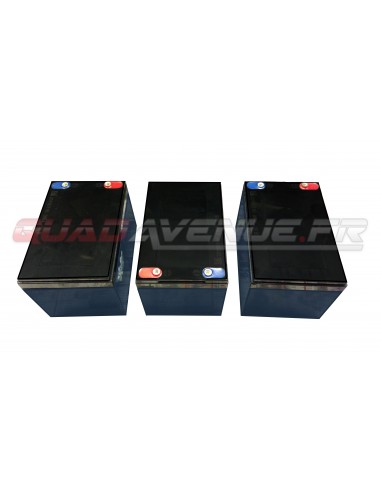 Pack 3 batteries 6-DZM-12 12V12AH de...